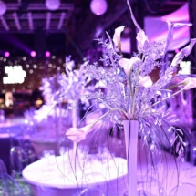 51121386_1885803394881309_1181500951433838592_o