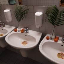 79338036_2444605962329397_3348221521729421312_n