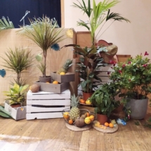 79669641_2534694400188527_3078756343025238016_n