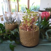 IMG_20200703_184054_1